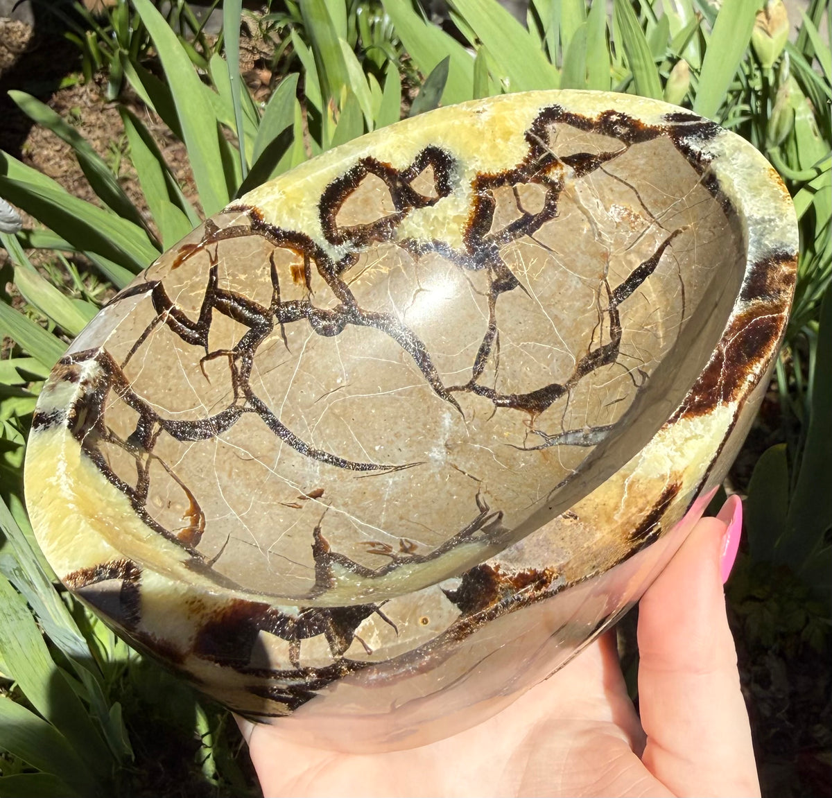 Septarian Bowl