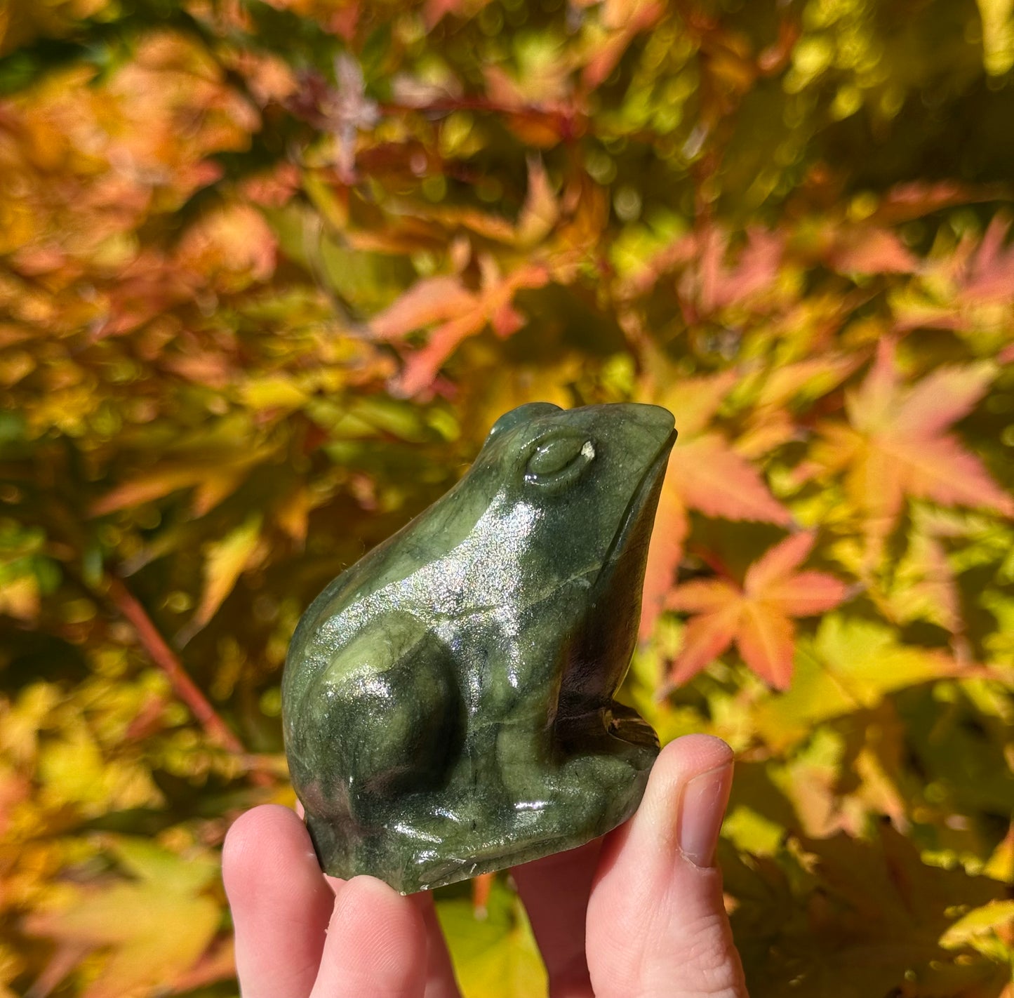 Green Jade Frog