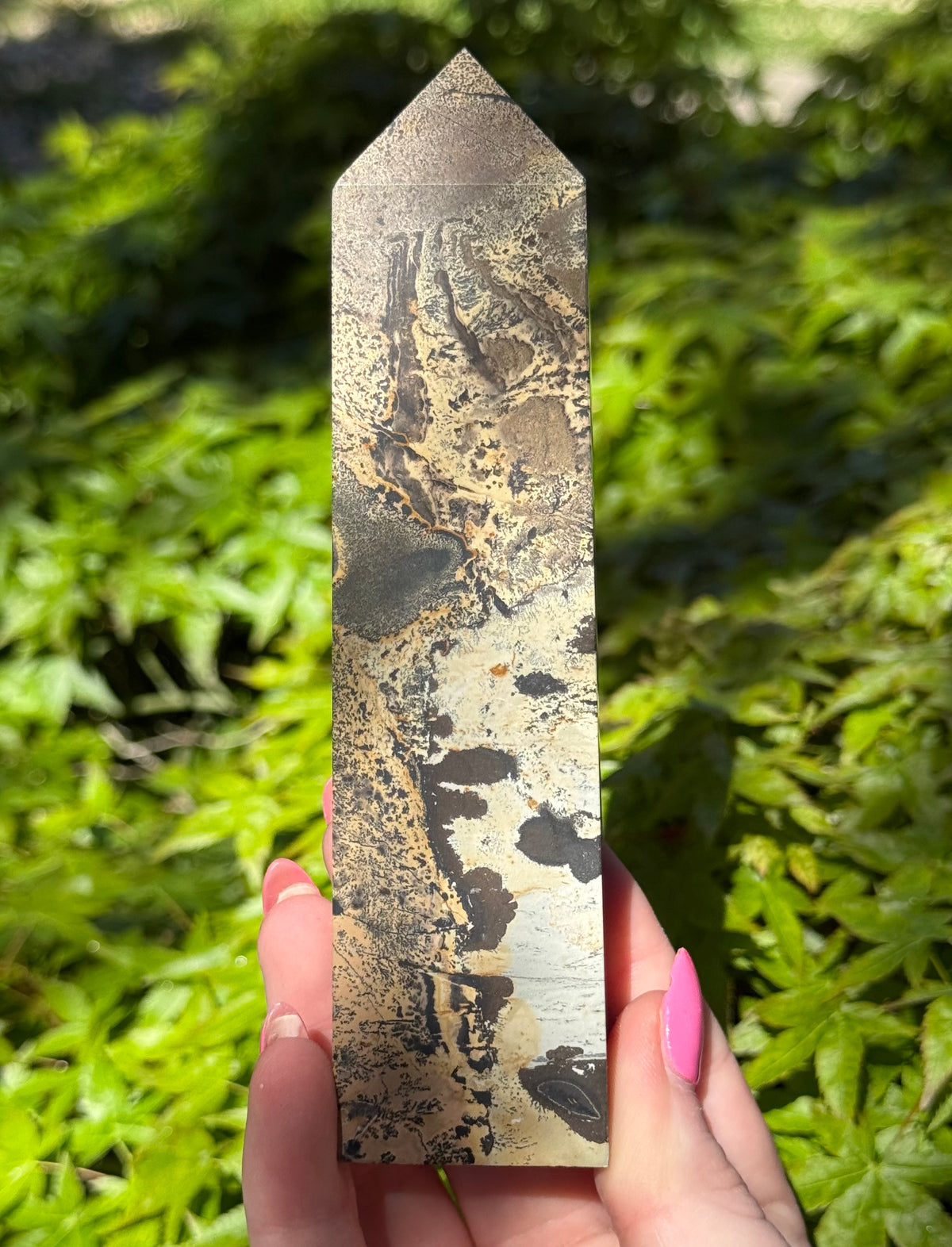Picture Jasper Towers
