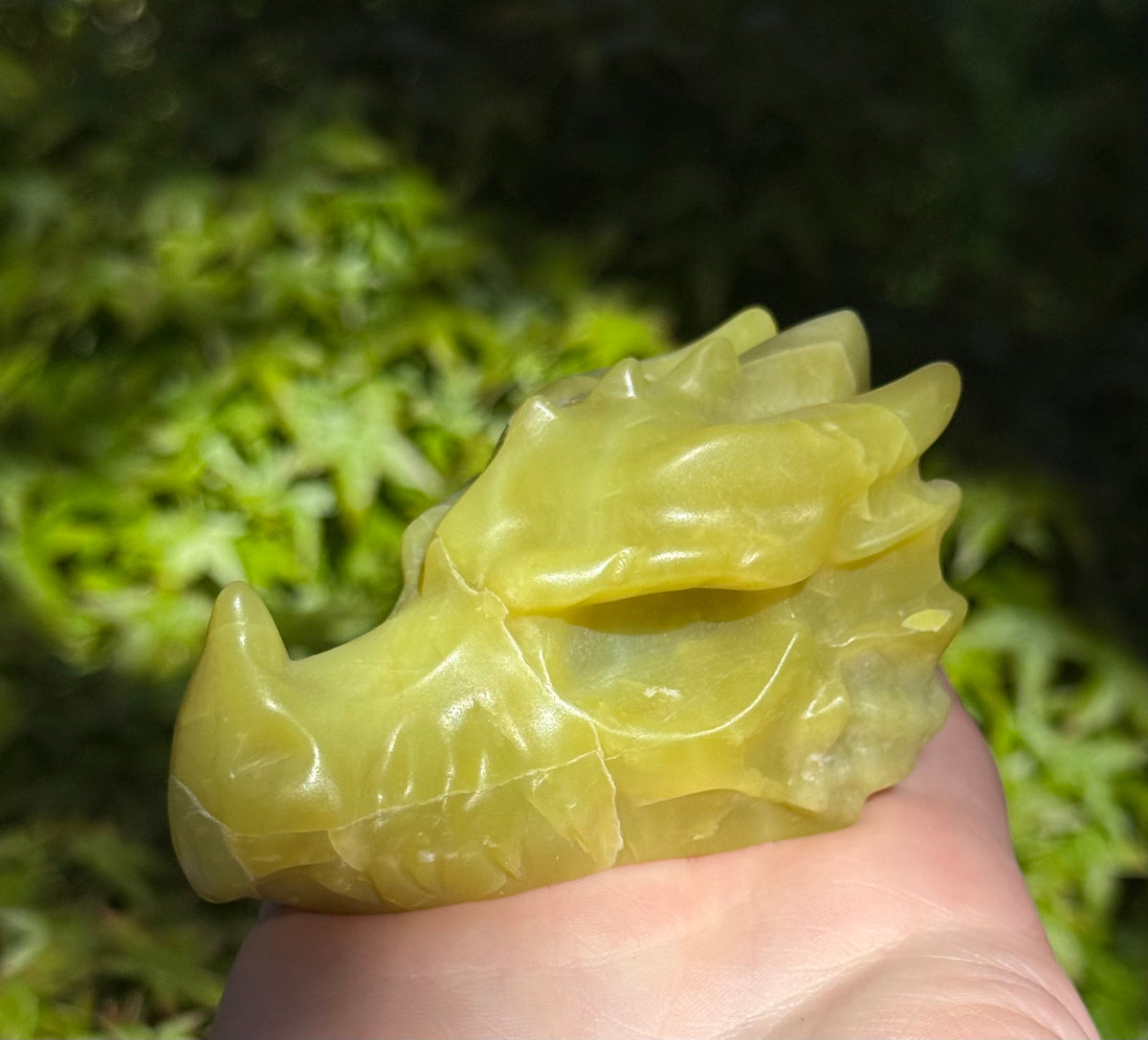 Assorted Dragon Heads