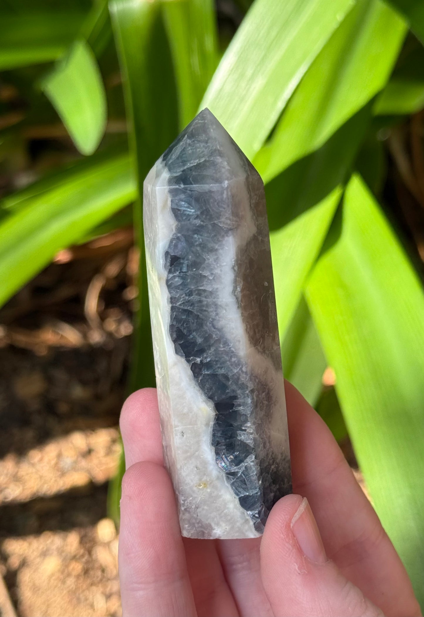 Fluorite in Calcite Points