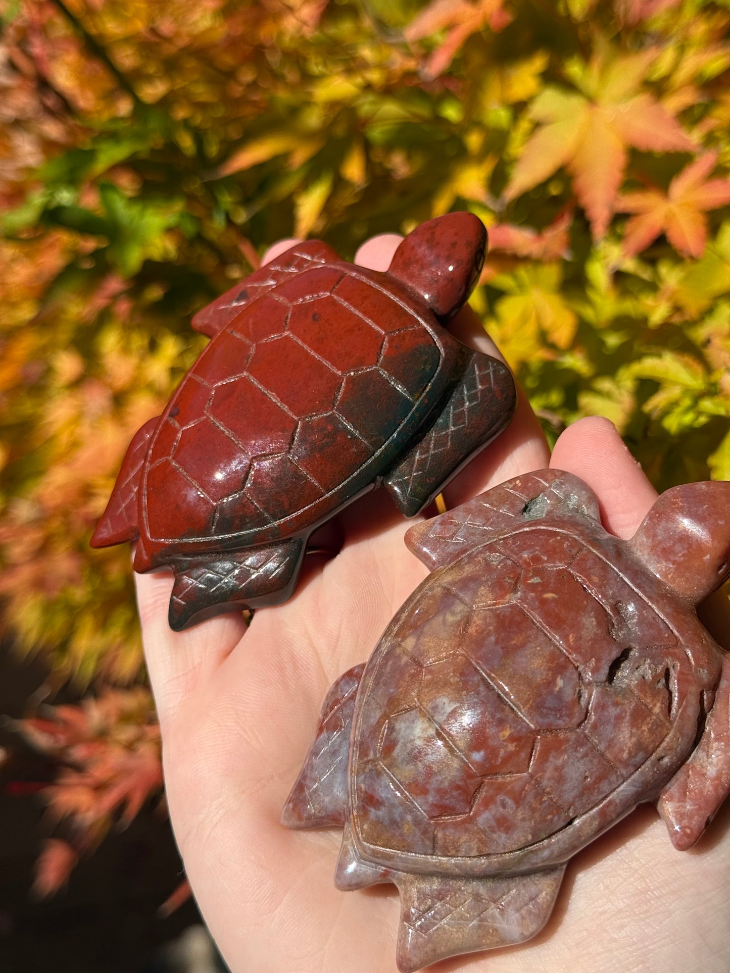 Ocean Jasper Turtles