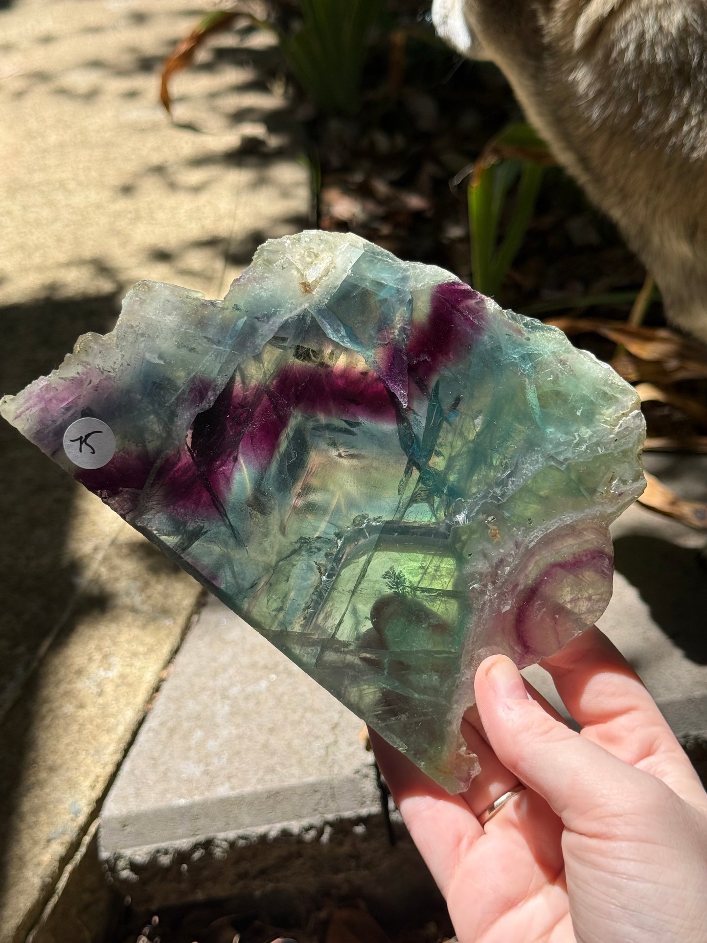 Fluorite Slabs