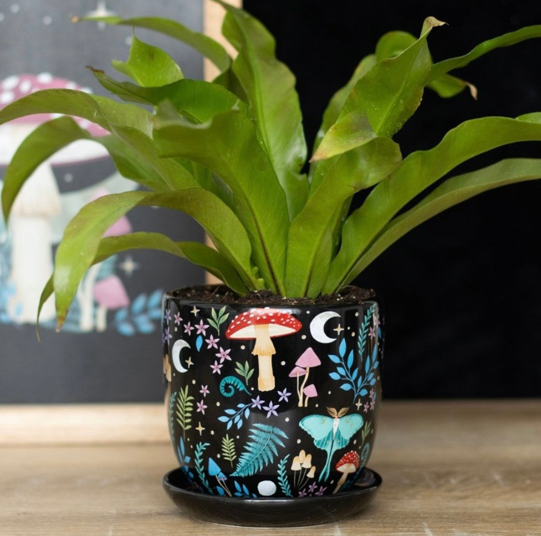 Dark Forest Ceramic Plant Pot with Saucer