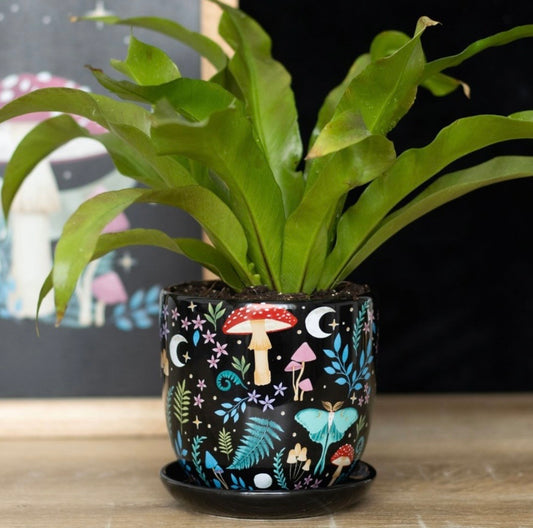 Dark Forest Ceramic Plant Pot with Saucer