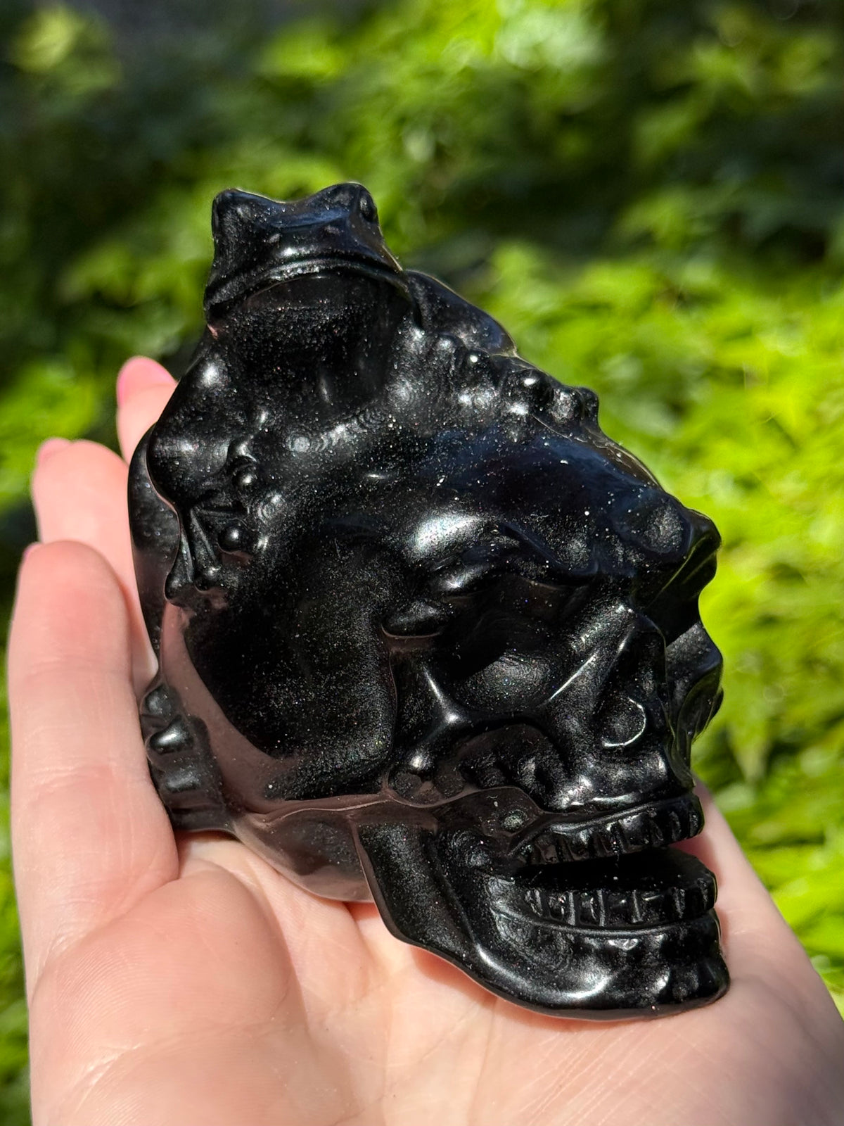 Frog on Skull