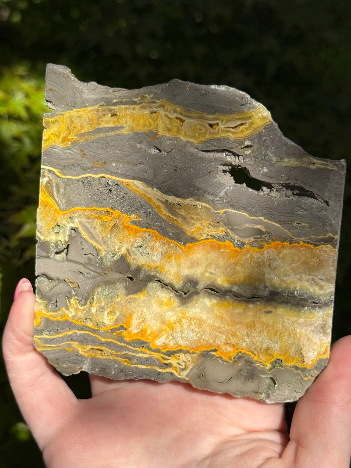 Bumblebee Jasper Slabs