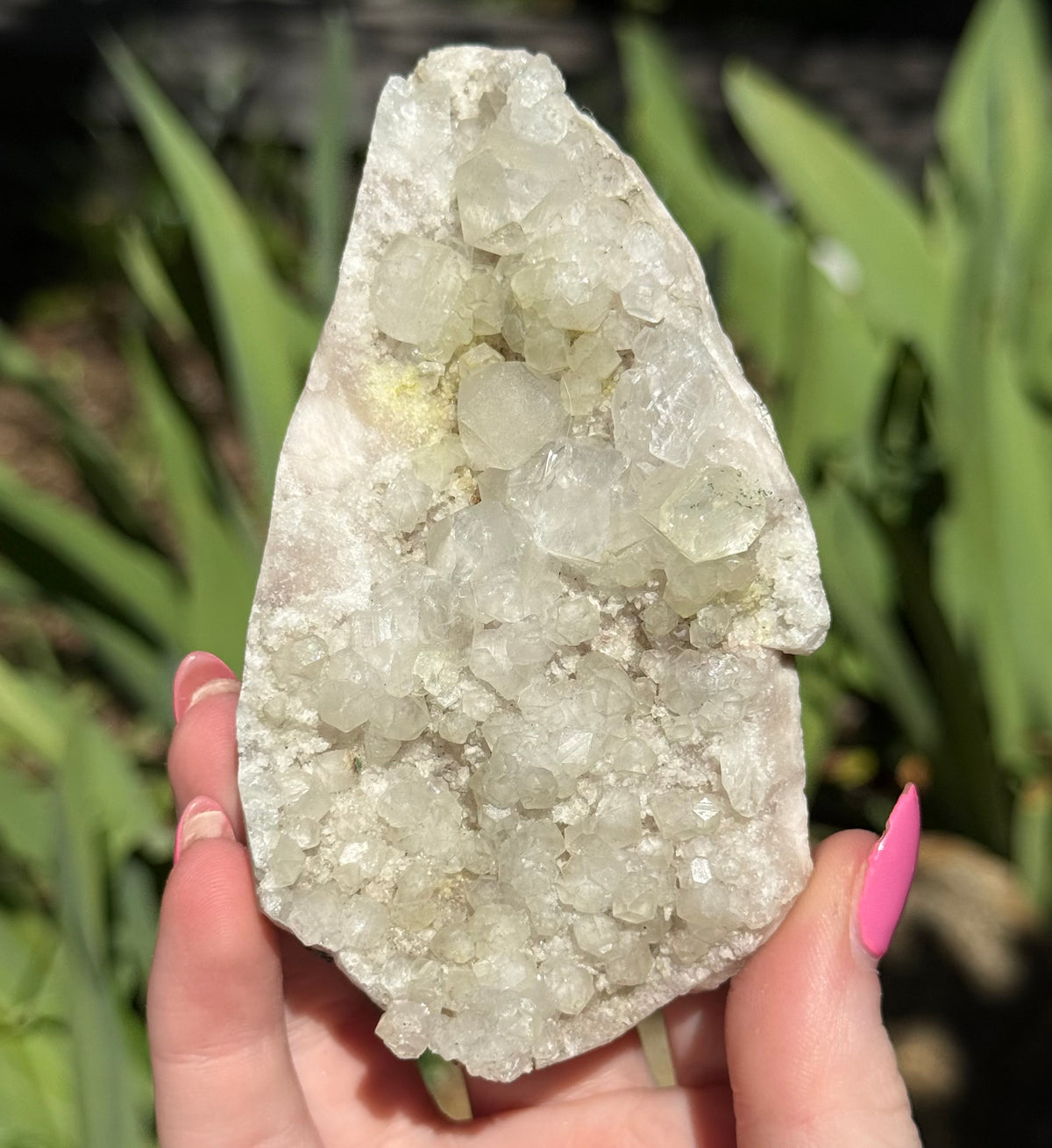 Apophyllite