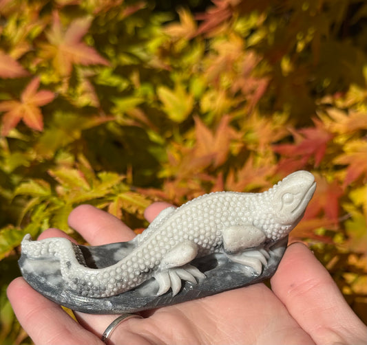 Tai Chi Jasper Lizards
