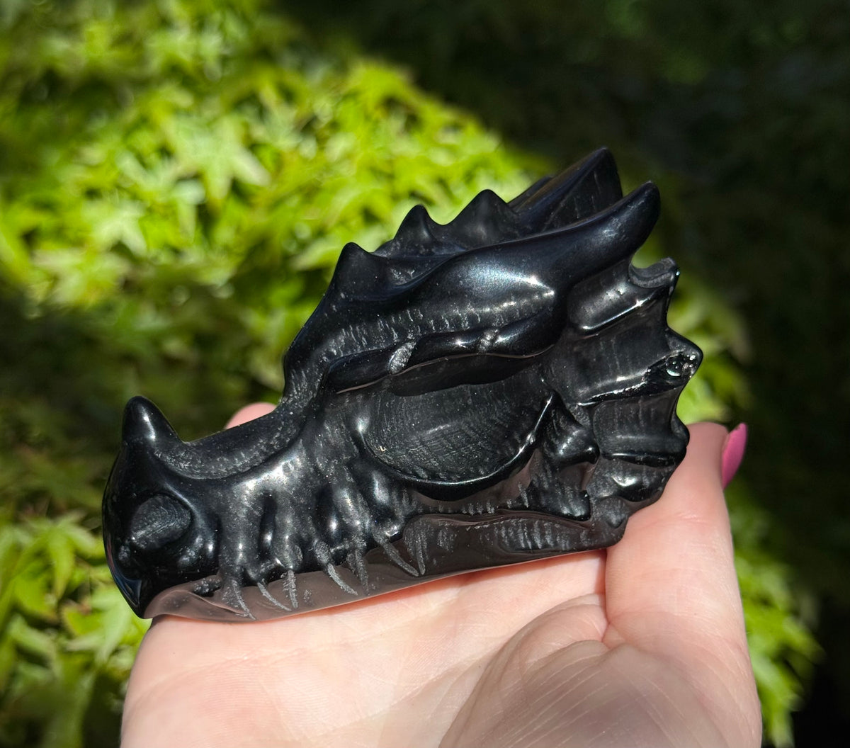 Assorted Dragon Heads