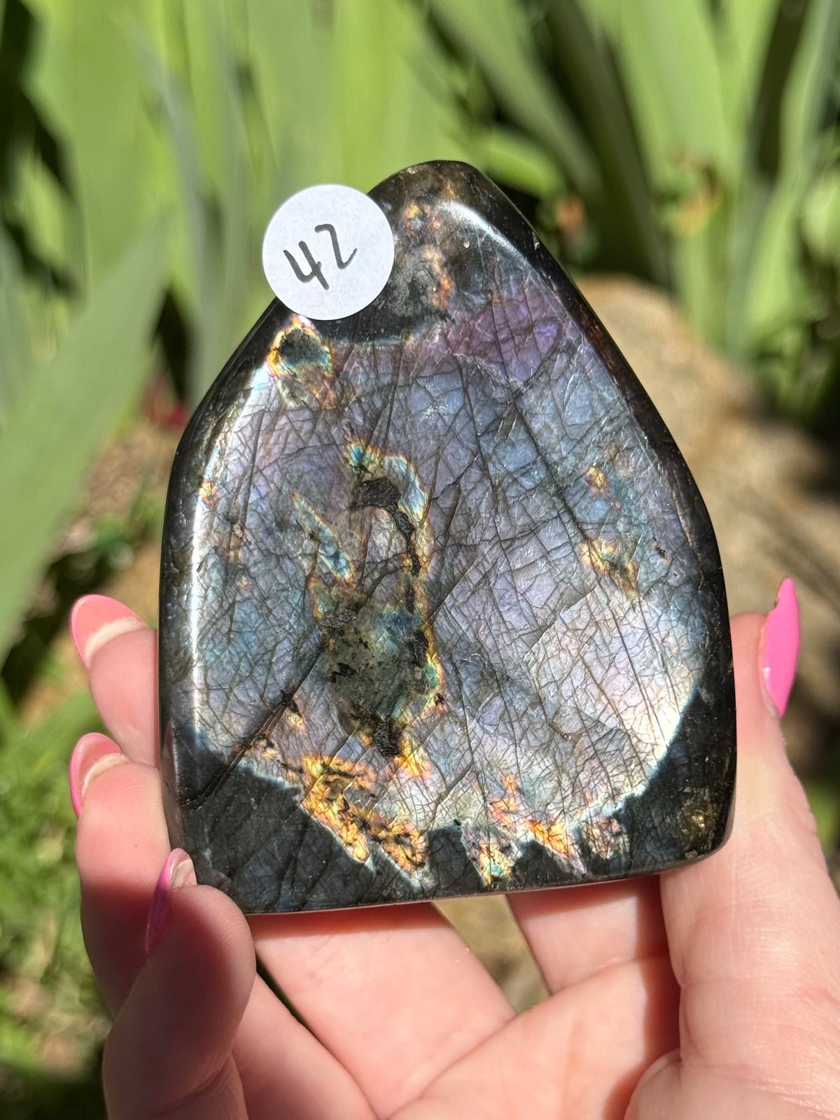 Labradorite Freeforms