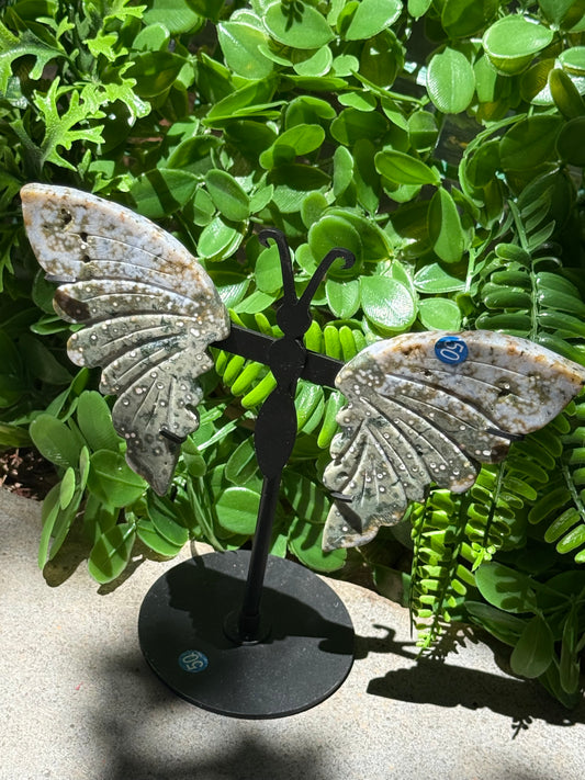 Orbital Ocean Jasper Wings