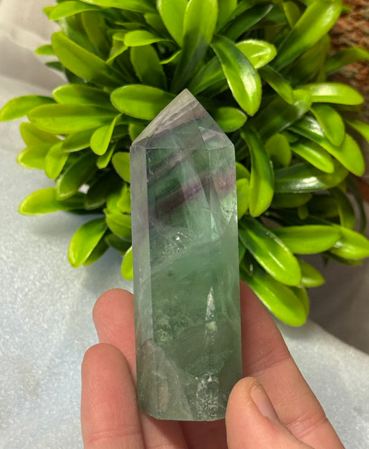 Fluorite Points