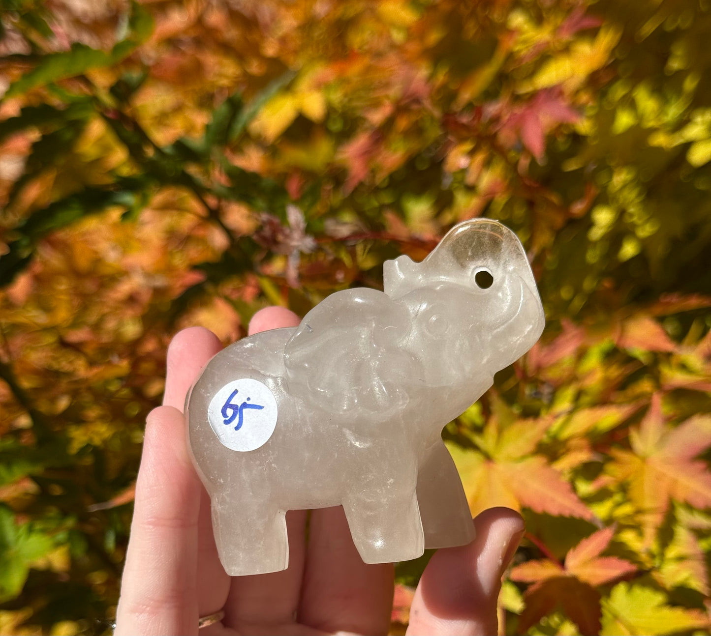 Elephants