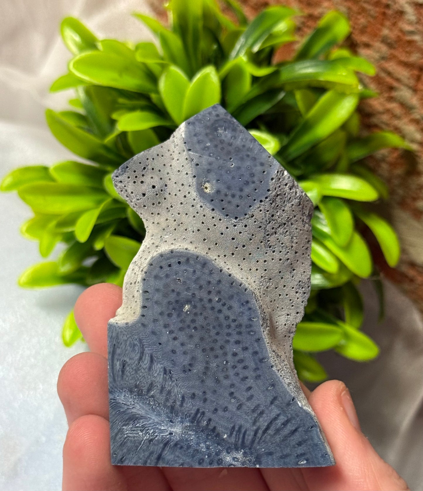 Coral Jasper Towers