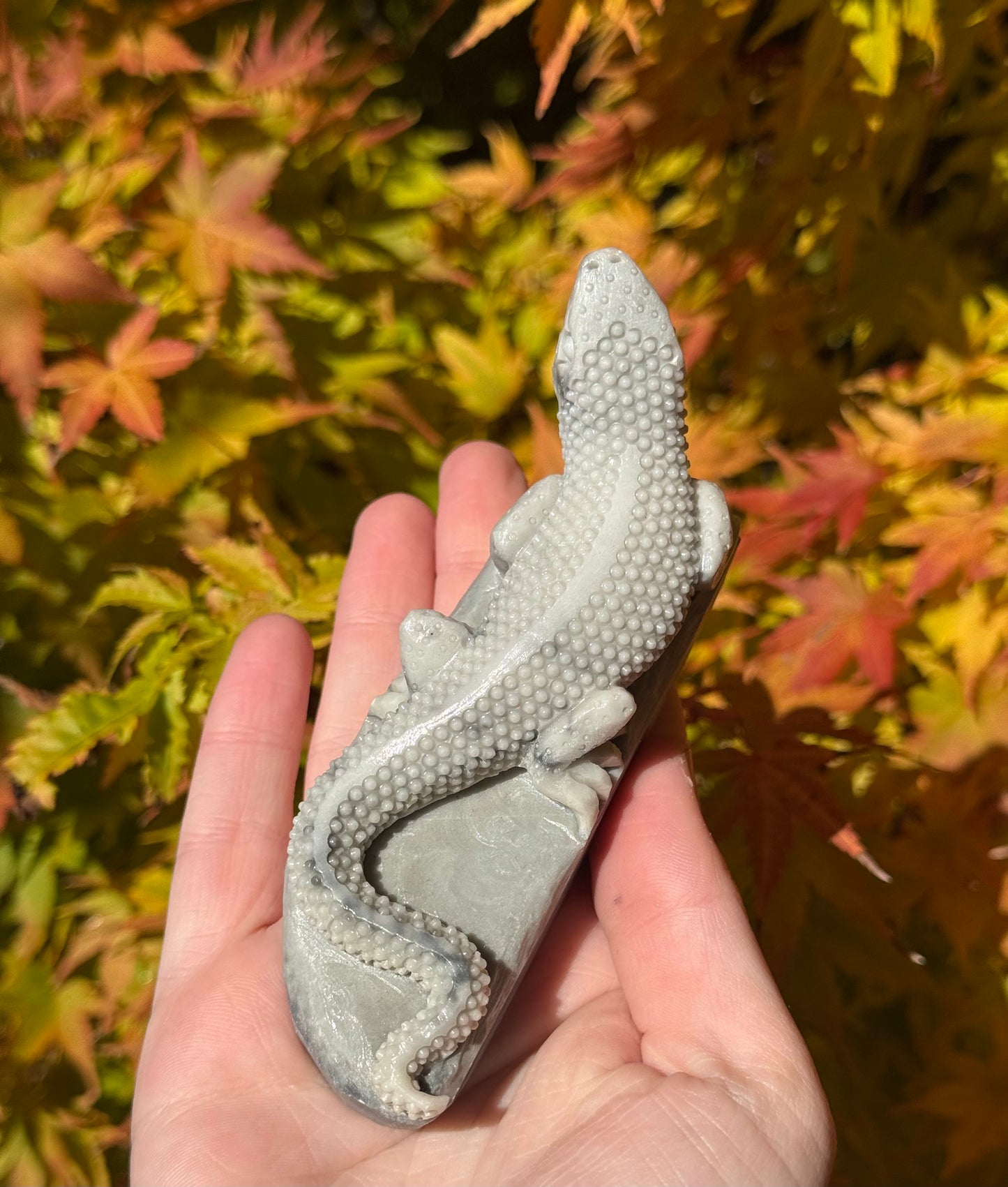 Tai Chi Jasper Lizards