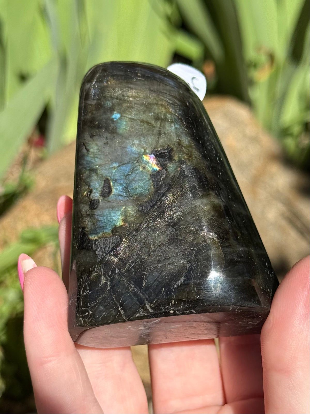 Labradorite Freeforms