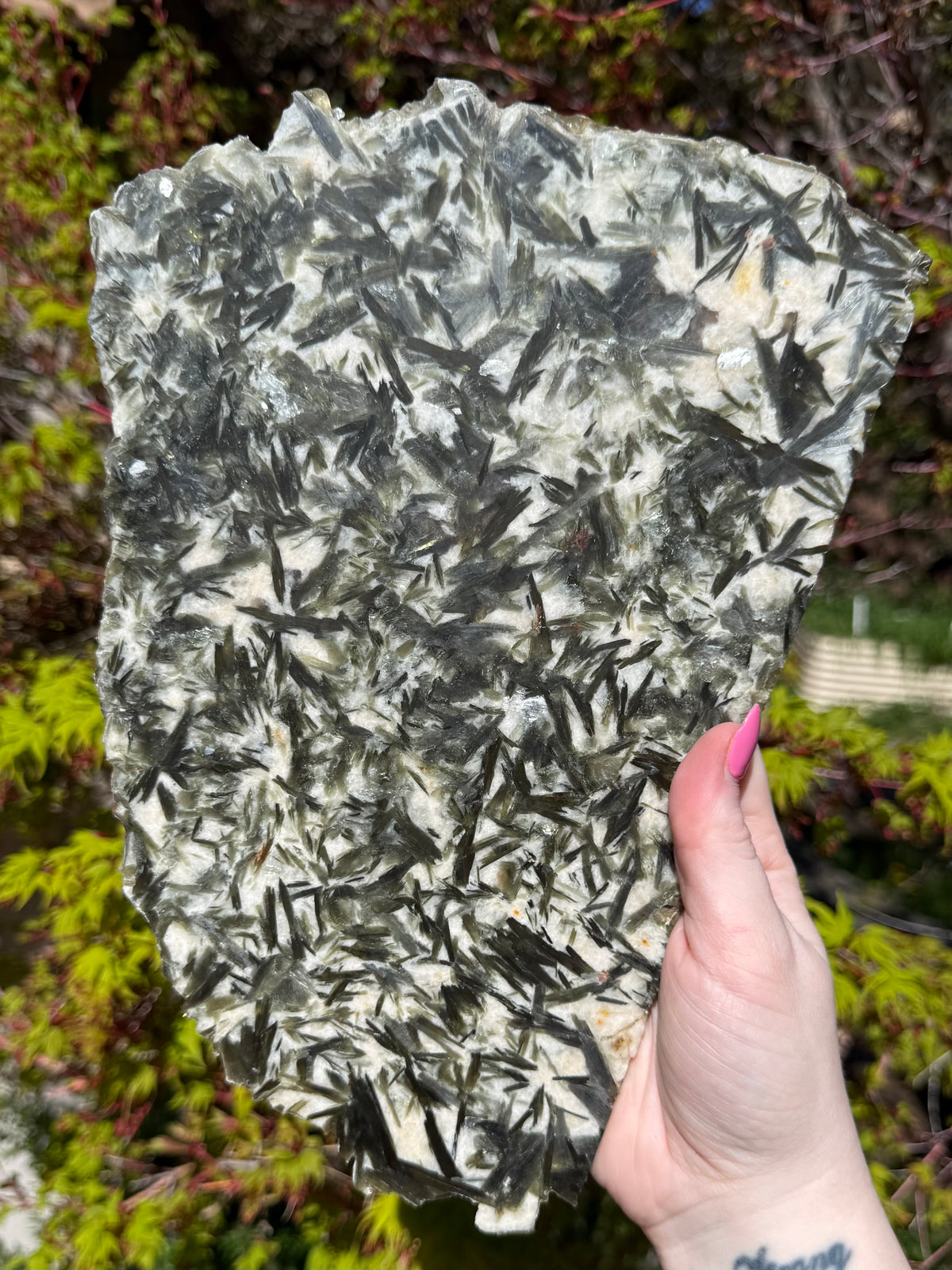 Green Mica Huge Slab