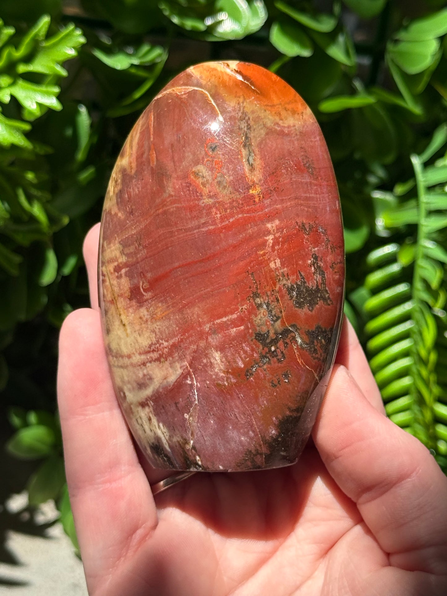Petrified Wood Standing Freeform’s