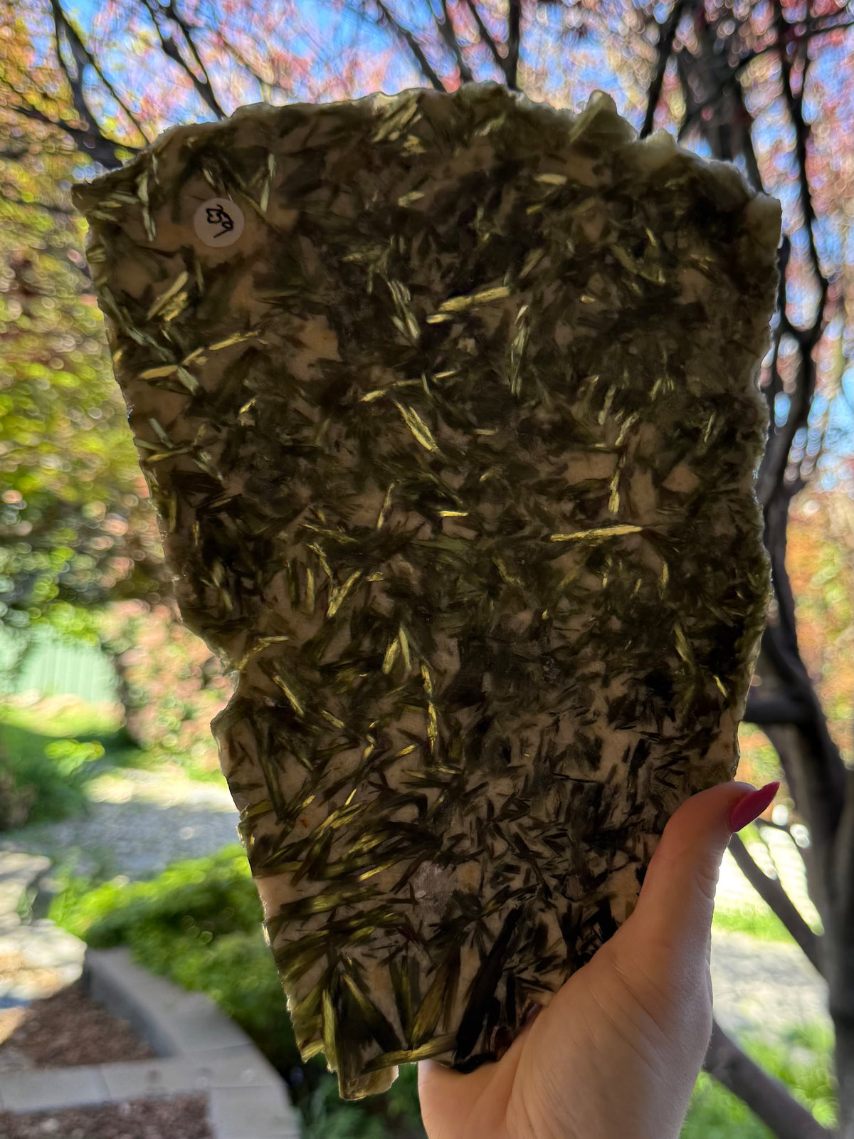 Green Mica Huge Slab
