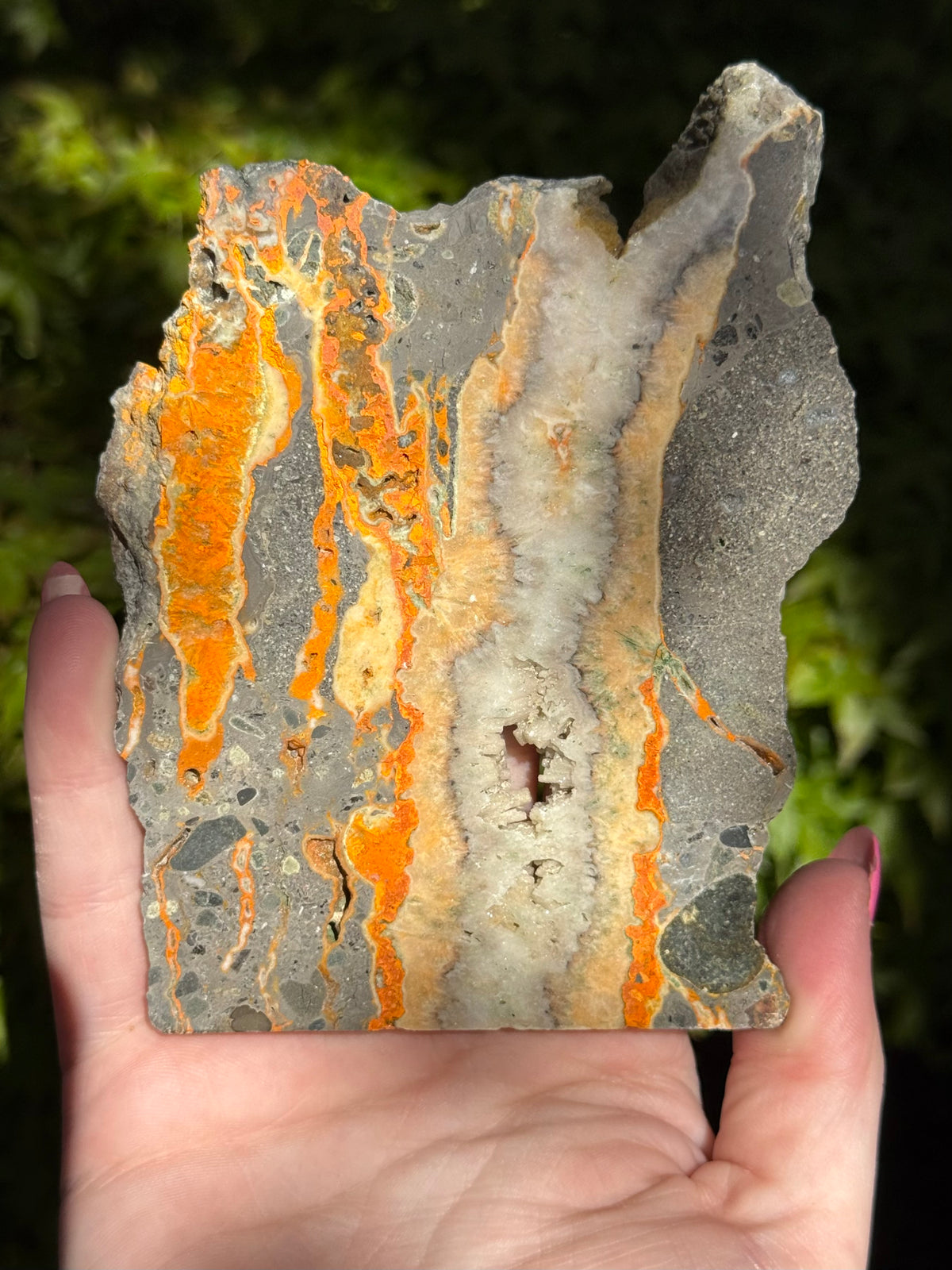 Bumblebee Jasper Slabs
