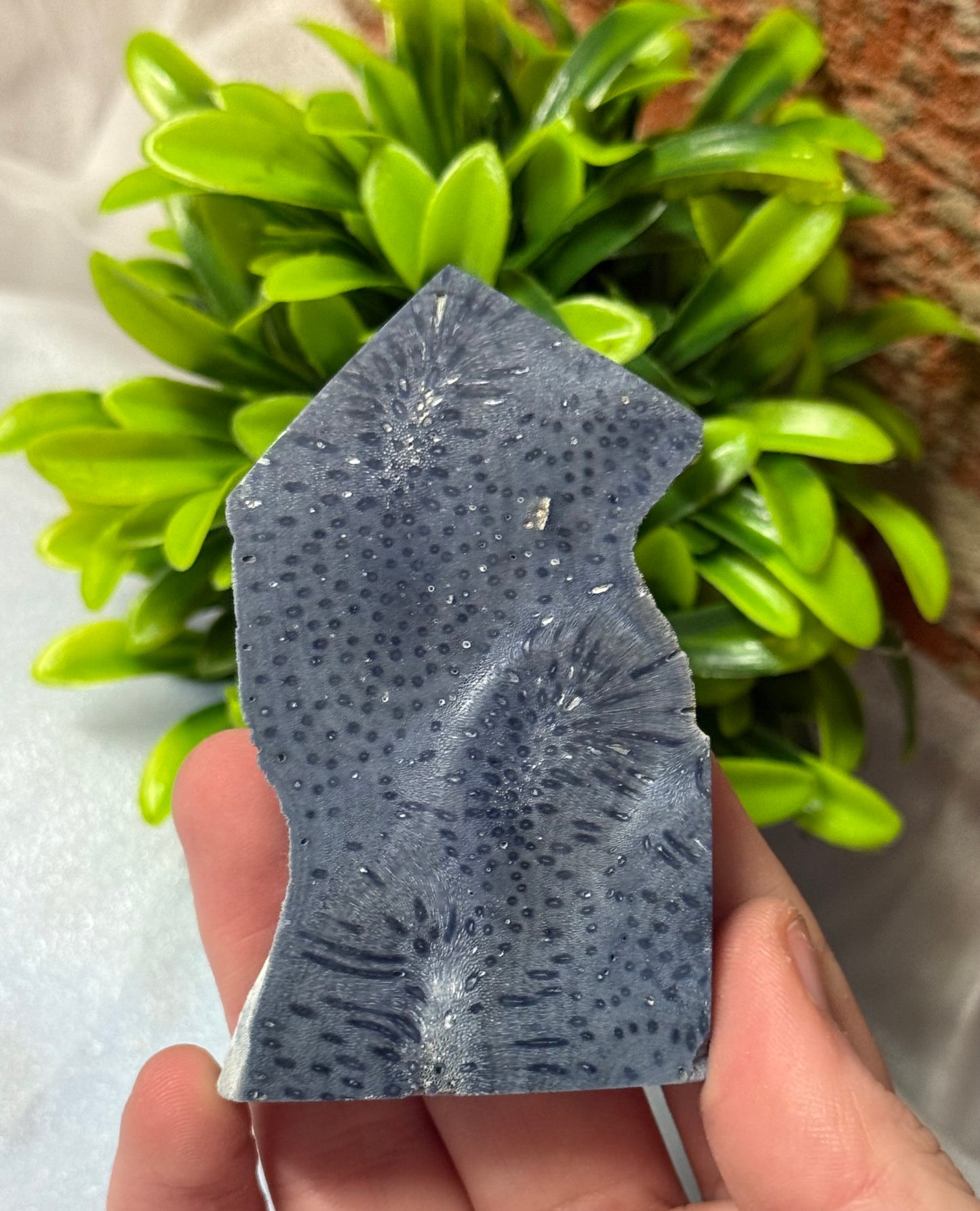 Coral Jasper Towers