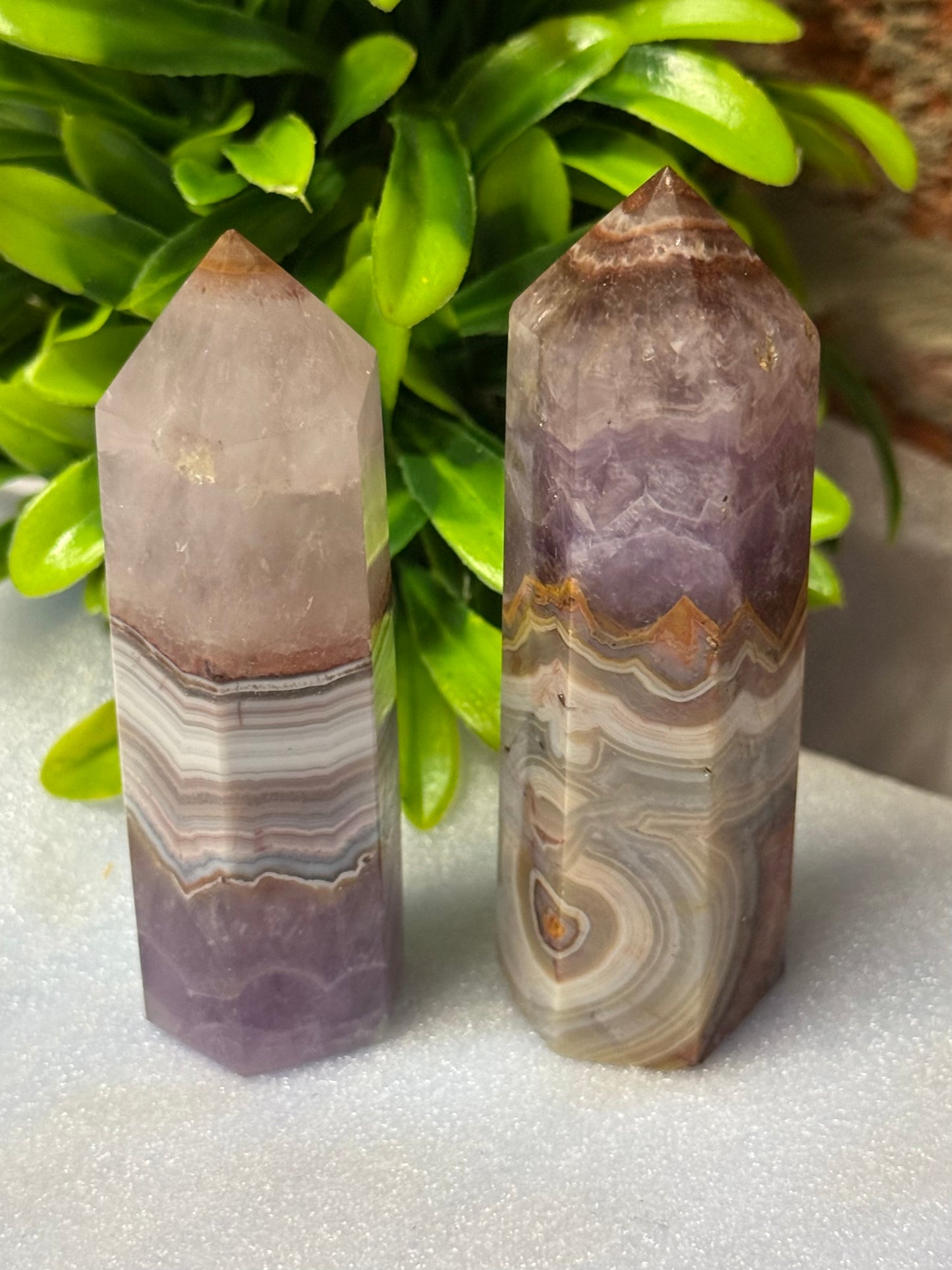 Amethyst/Crazy Lace Points