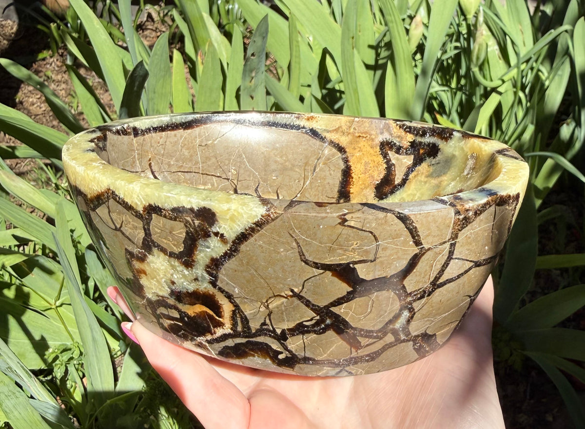 Septarian Bowl