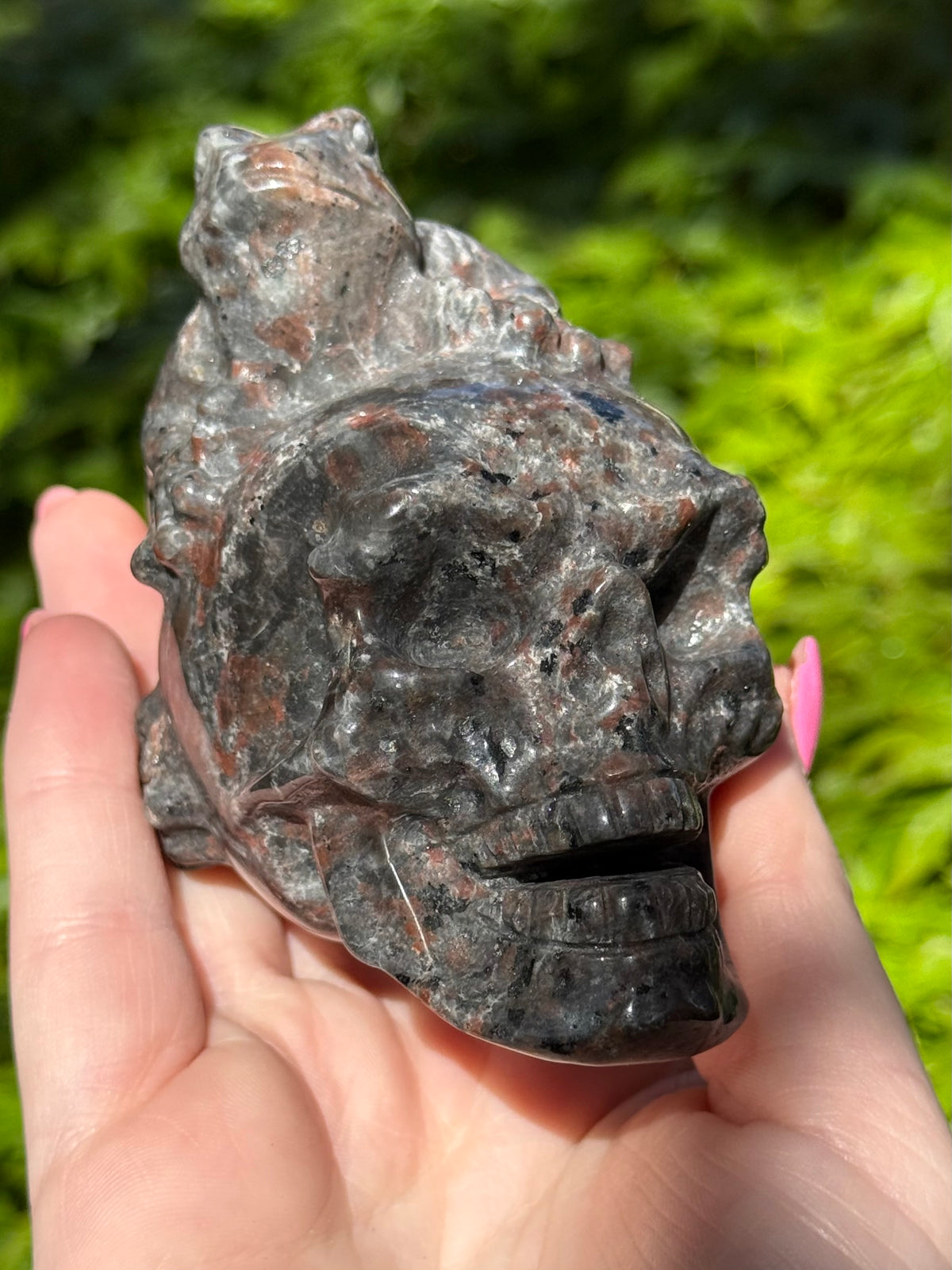 Frog on Skull