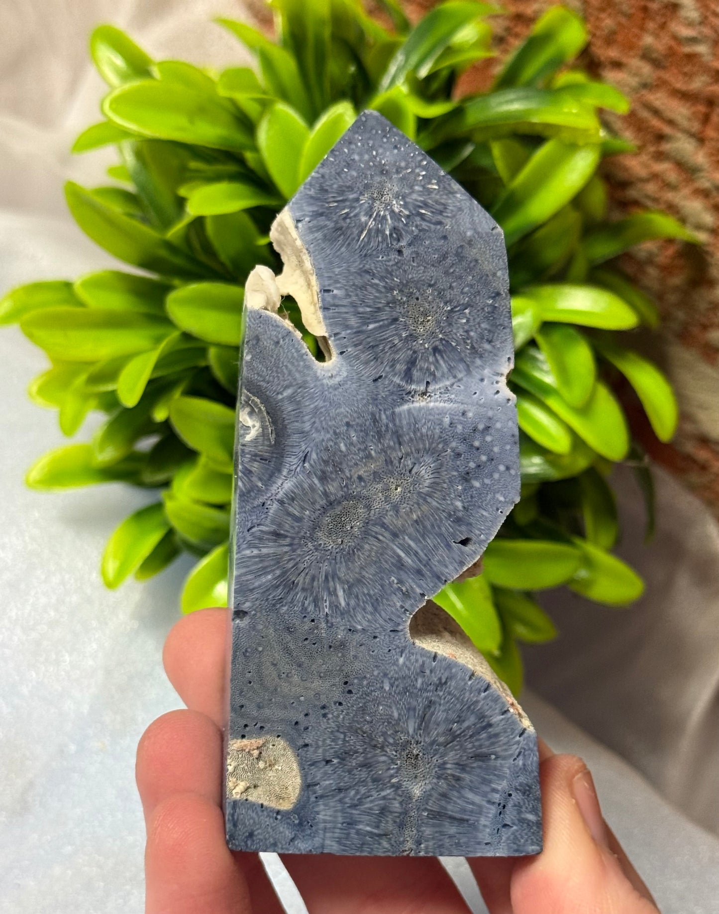 Coral Jasper Towers