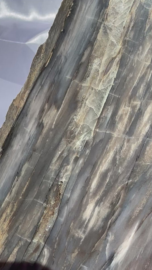 25% off! Petrified Wood XL Slab